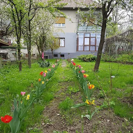 Apartament Desa * Cluj-Napoca