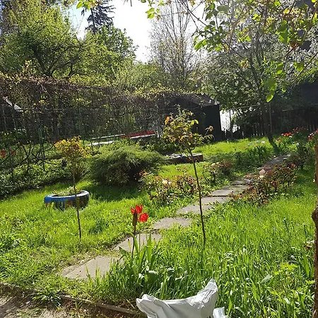 Apartamento Apartament Desa
